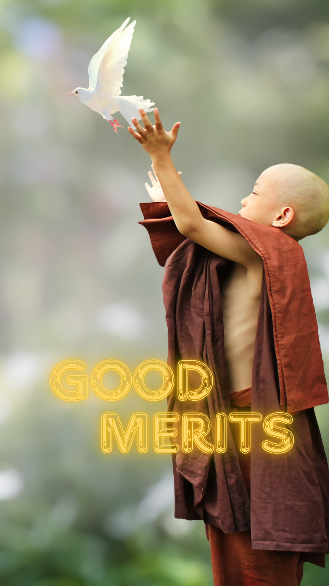 🌳 Plant a Tree, Grow Your Merits 🌳