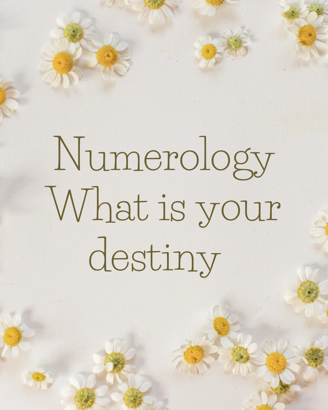 💛 Unlock Your Life's Blueprint with Numerology 💛